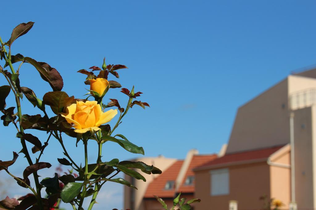 Hotel Hera Sozopol Exteriör bild